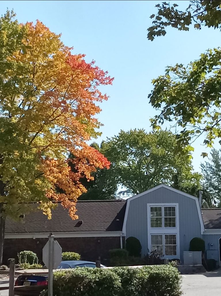 The Barons at Basking Ridge